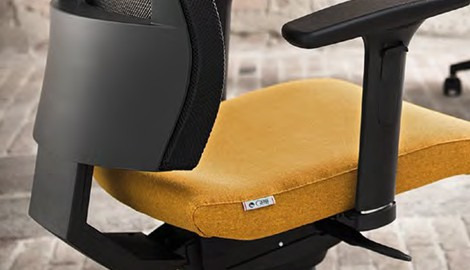 Lumbar support for the back of office chairs, what you need and how to adjust it