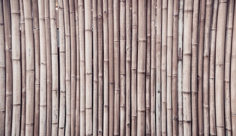 Bamboo: how to use it in furnishing a space 